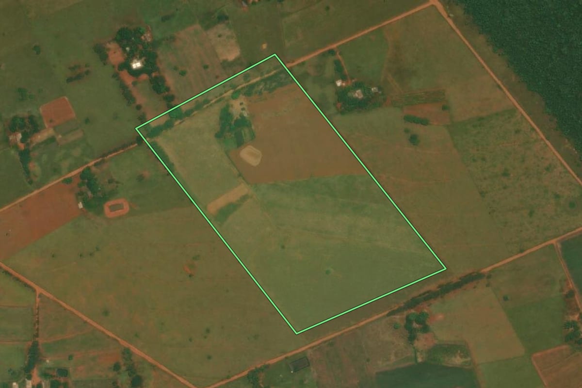 Imagem de satélite do imóvel rural em Rosana (SP), com o contorno declarado no CAR desenhado por cima.