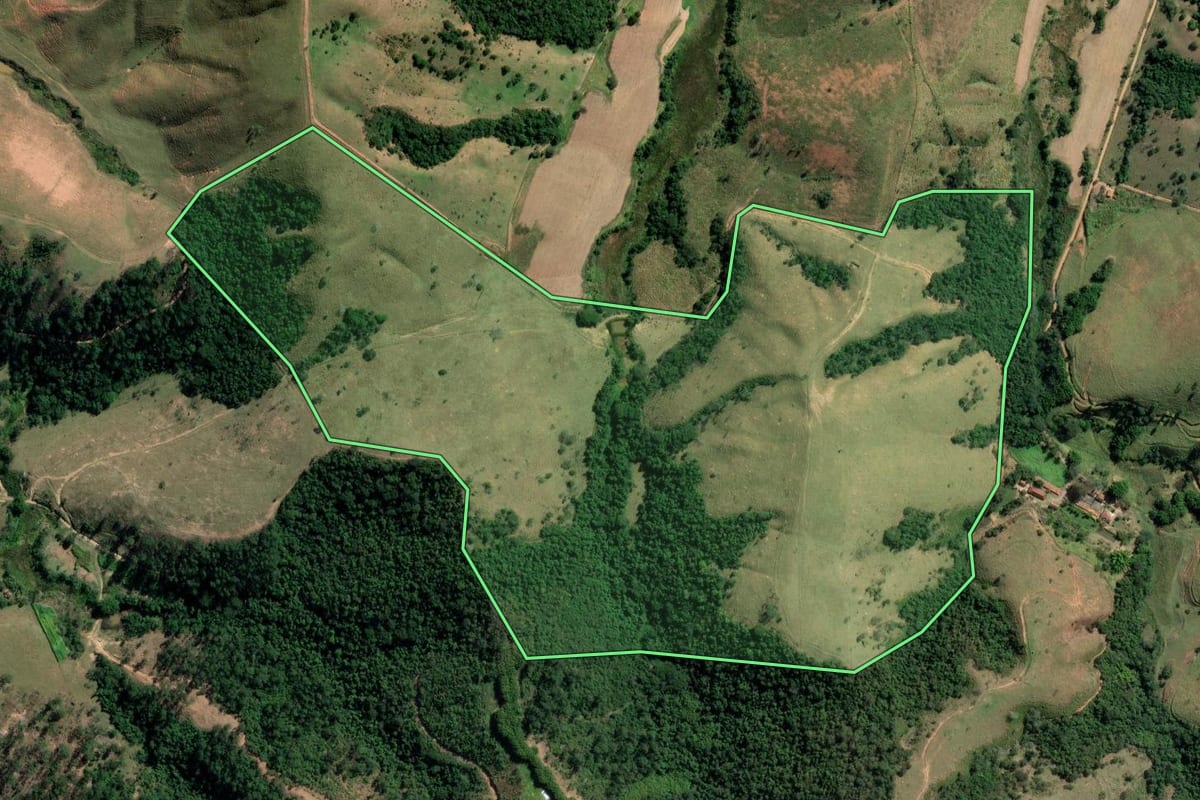 Imagem de satélite do imóvel rural em Roseira (SP), com o contorno declarado no CAR desenhado por cima.