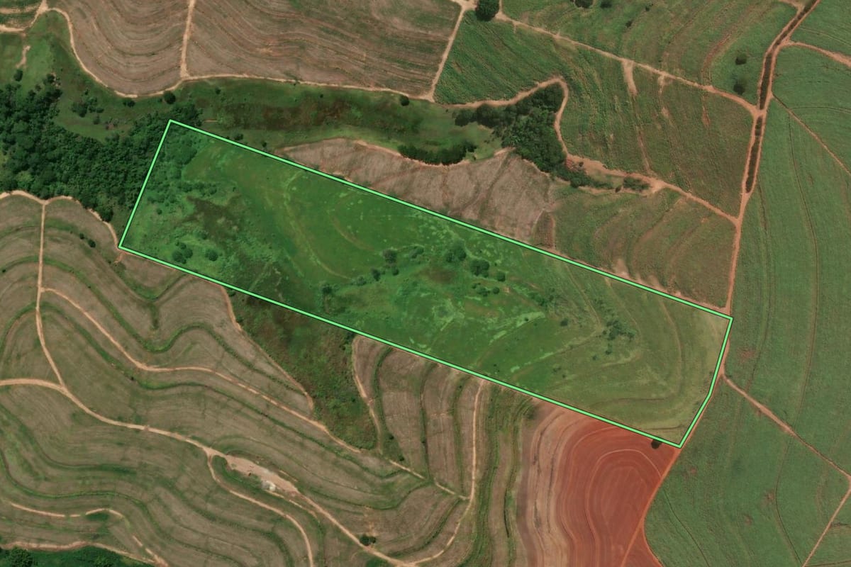 Imagem de satélite do imóvel rural em Rubiácea (SP), com o contorno declarado no CAR desenhado por cima.