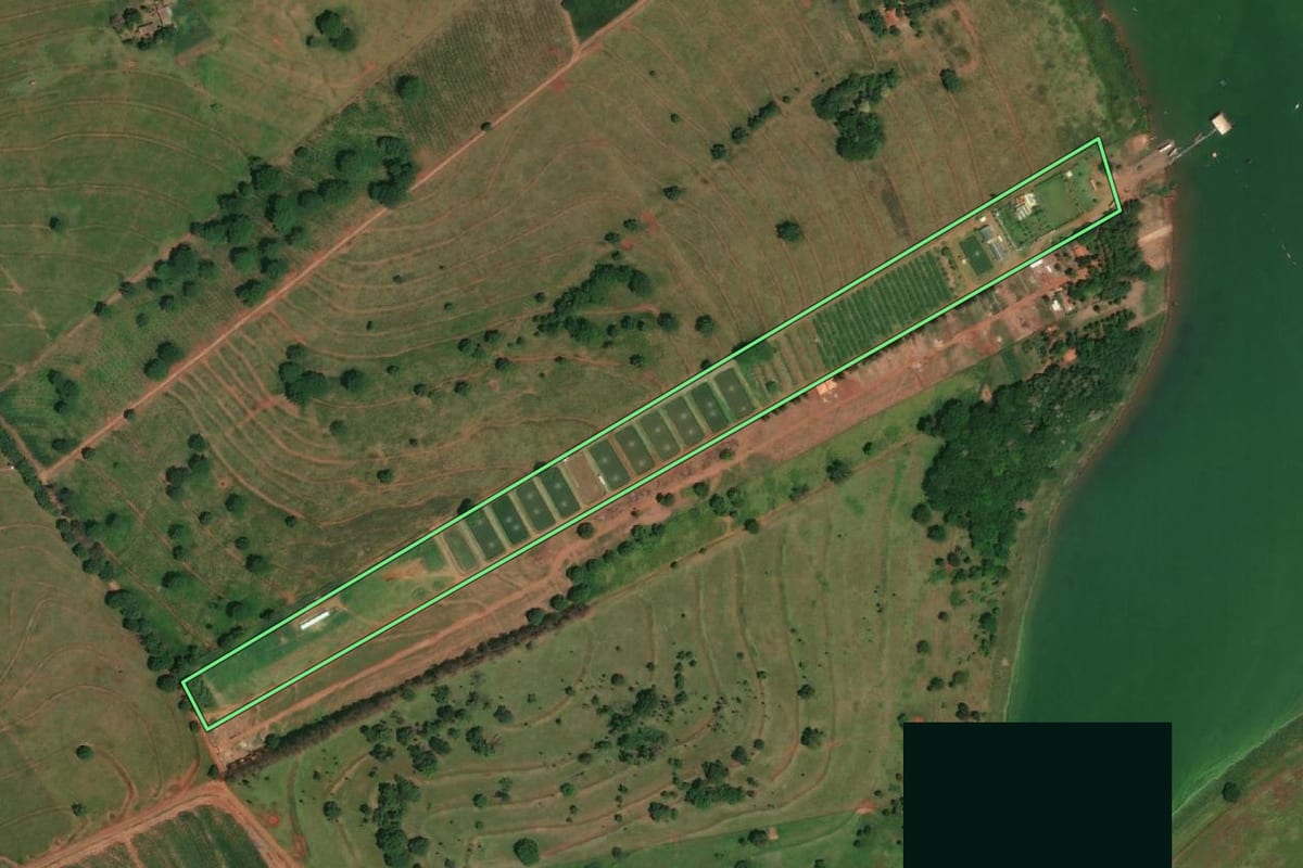 Imagem de satélite do imóvel rural em Rubinéia (SP), com o contorno declarado no CAR desenhado por cima.