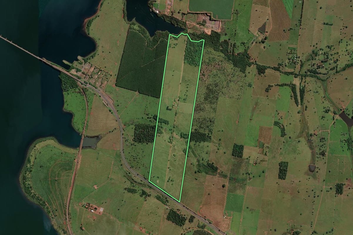 Imagem de satélite do imóvel rural em Rubinéia (SP), com o contorno declarado no CAR desenhado por cima.
