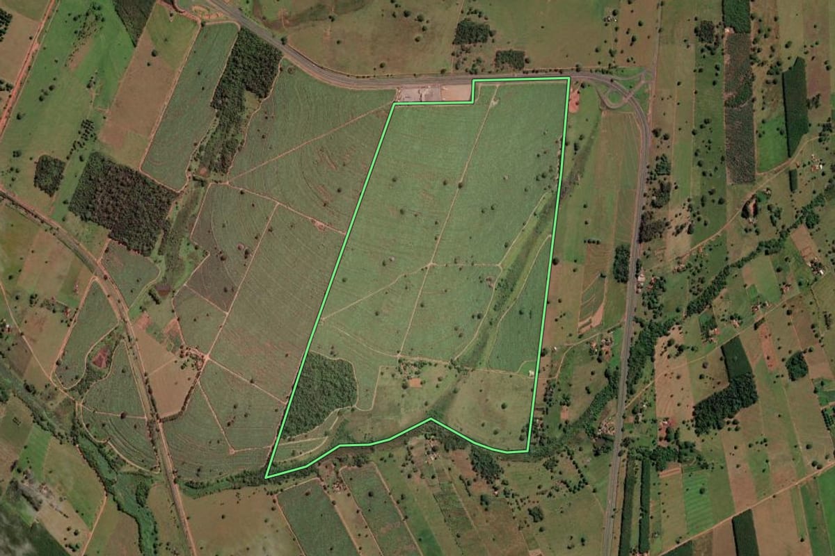 Imagem de satélite do imóvel rural em Rubinéia (SP), com o contorno declarado no CAR desenhado por cima.