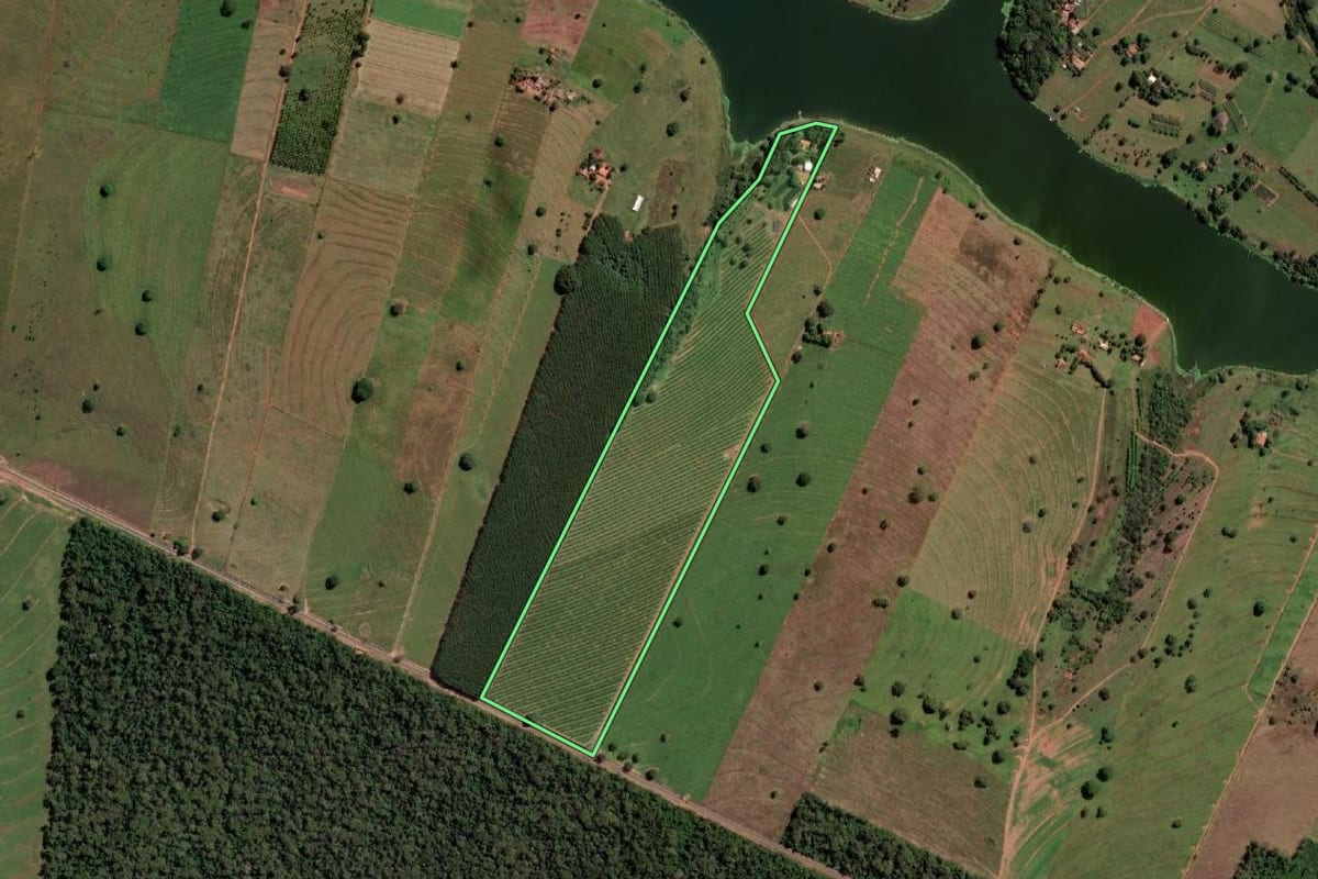 Imagem de satélite do imóvel rural em Rubinéia (SP), com o contorno declarado no CAR desenhado por cima.