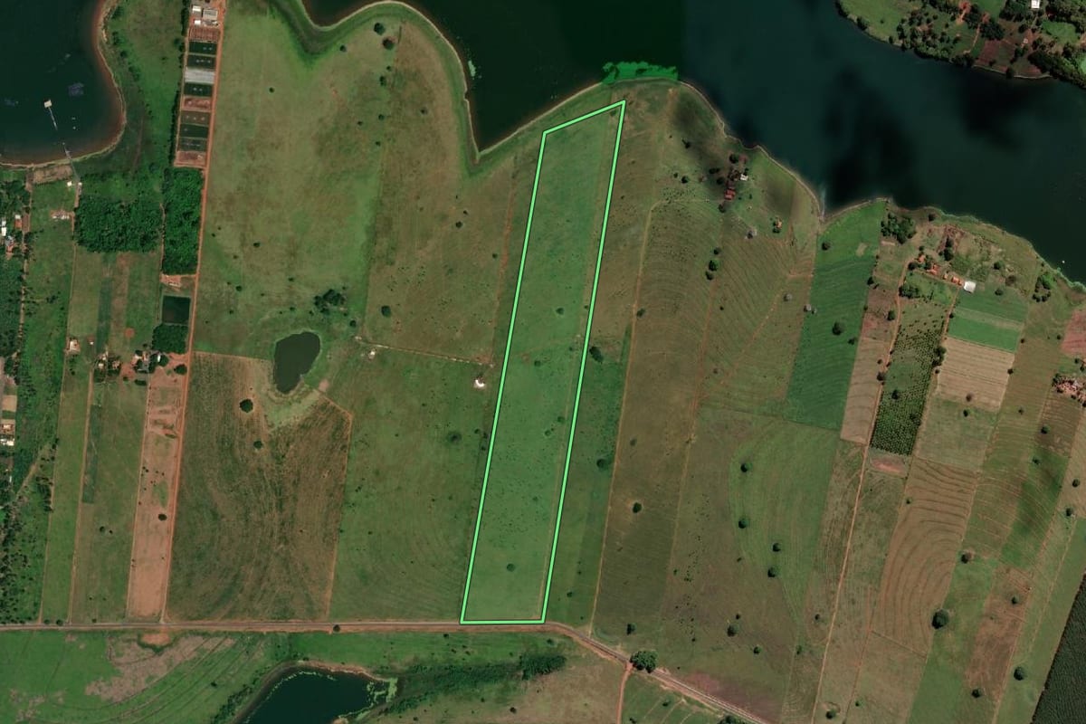 Imagem de satélite do imóvel rural em Rubinéia (SP), com o contorno declarado no CAR desenhado por cima.