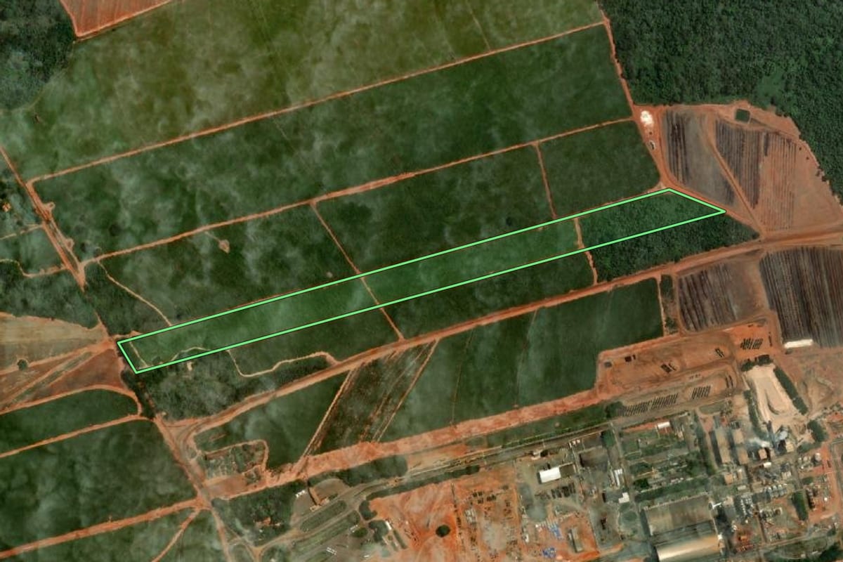 Imagem de satélite do imóvel rural em Sabino (SP), com o contorno declarado no CAR desenhado por cima.