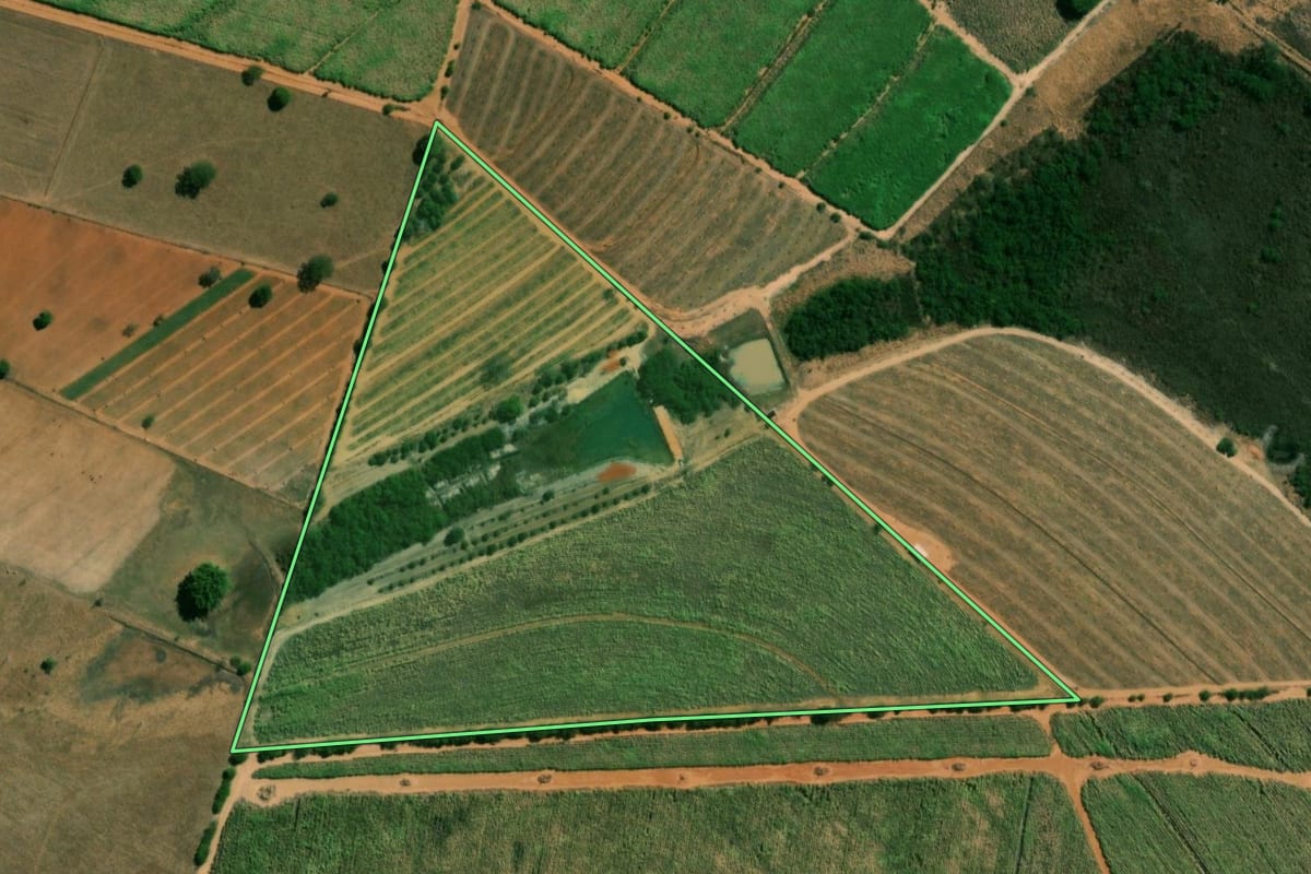 Imagem de satélite do imóvel rural em Sabino (SP), com o contorno declarado no CAR desenhado por cima.