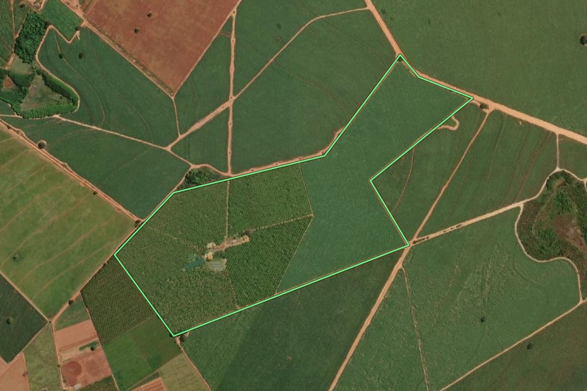 Imagem de satélite do imóvel rural em Sabino (SP), com o contorno declarado no CAR desenhado por cima.