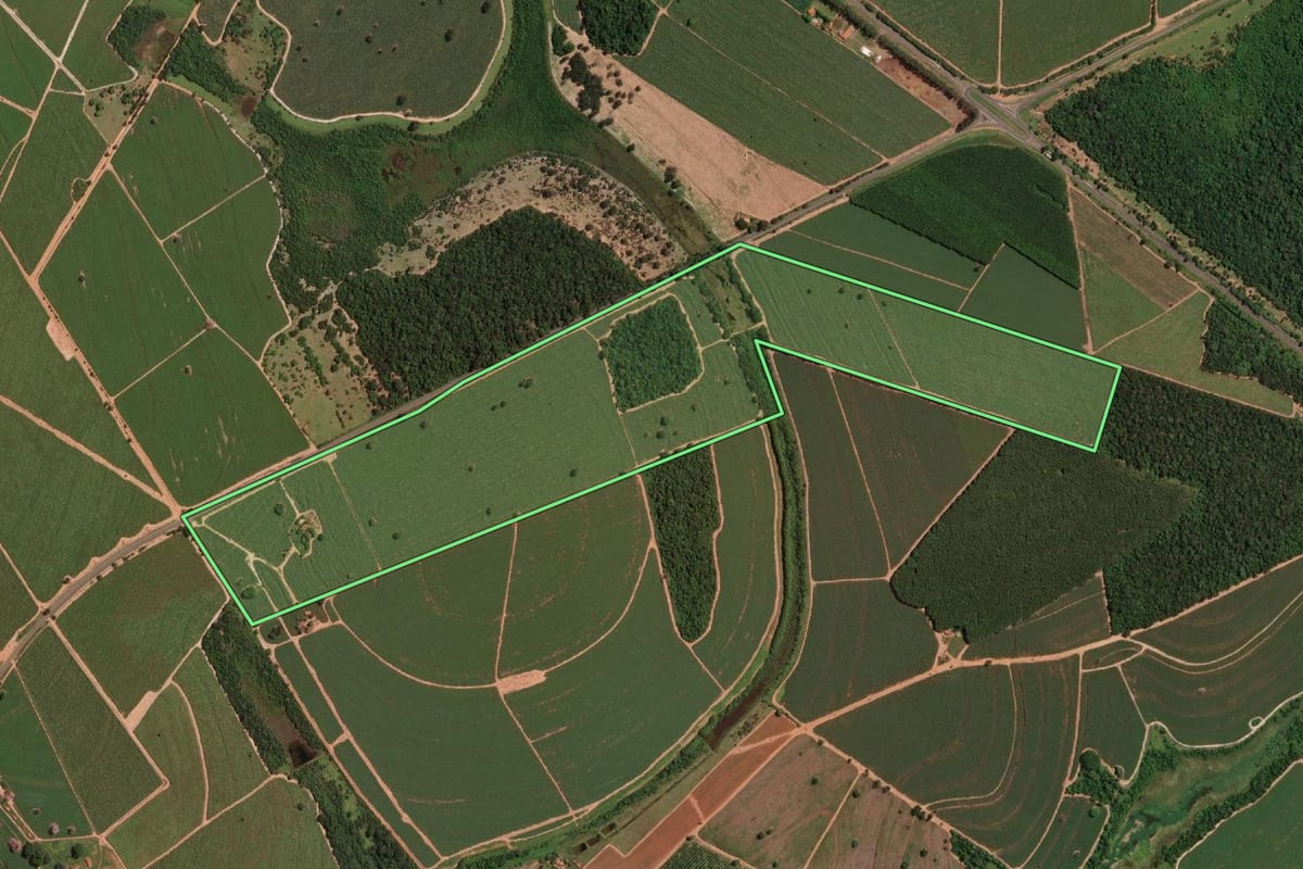 Imagem de satélite do imóvel rural em Sales (SP), com o contorno declarado no CAR desenhado por cima.