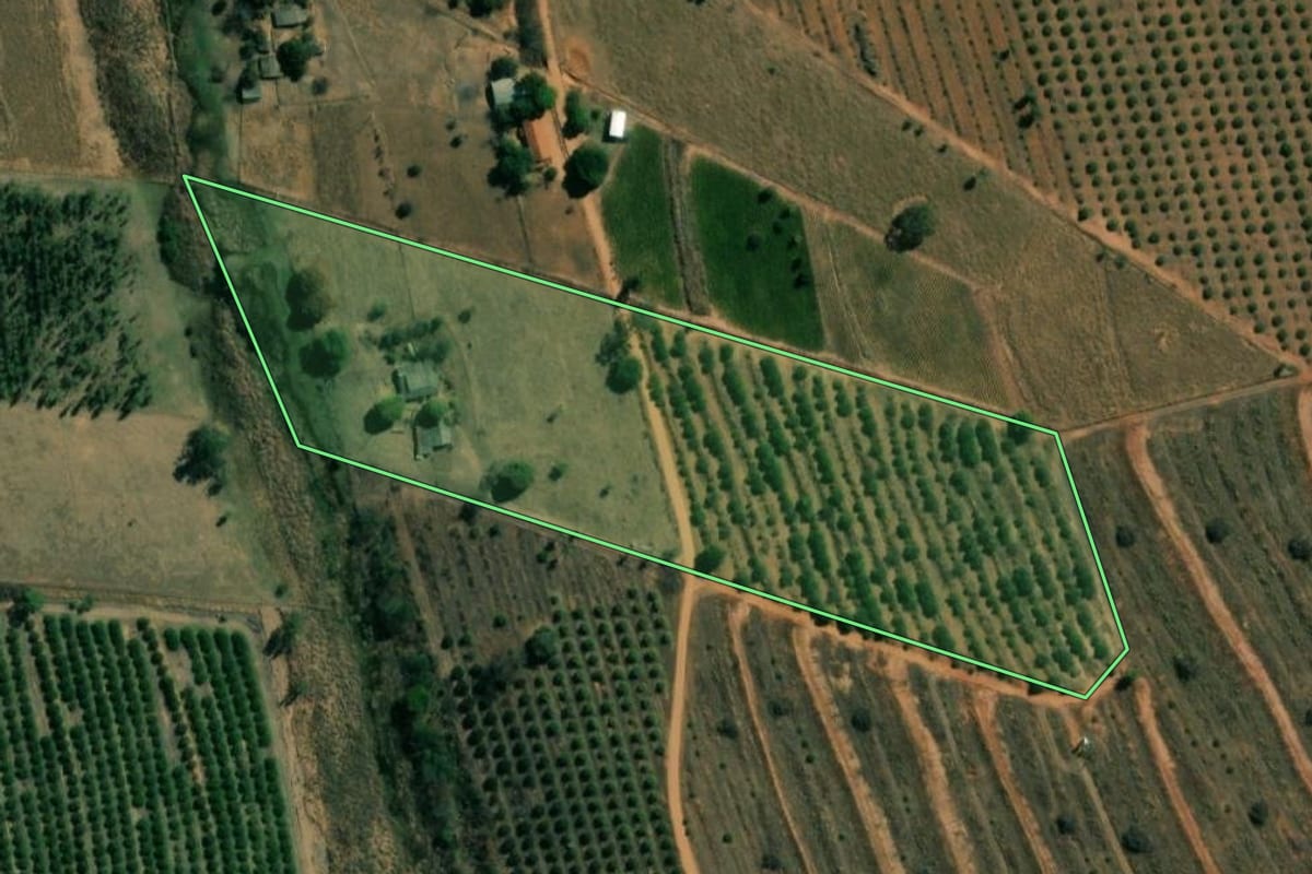 Imagem de satélite do imóvel rural em Sales (SP), com o contorno declarado no CAR desenhado por cima.