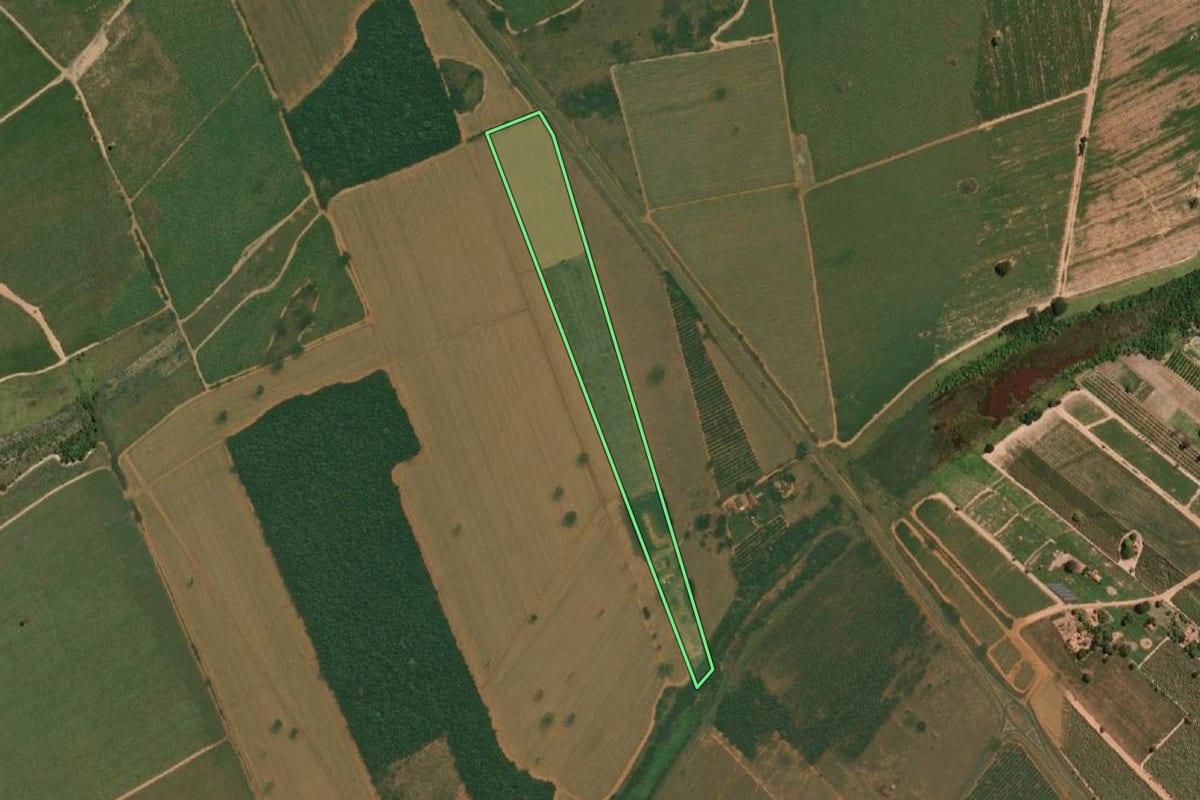 Imagem de satélite do imóvel rural em Sales (SP), com o contorno declarado no CAR desenhado por cima.