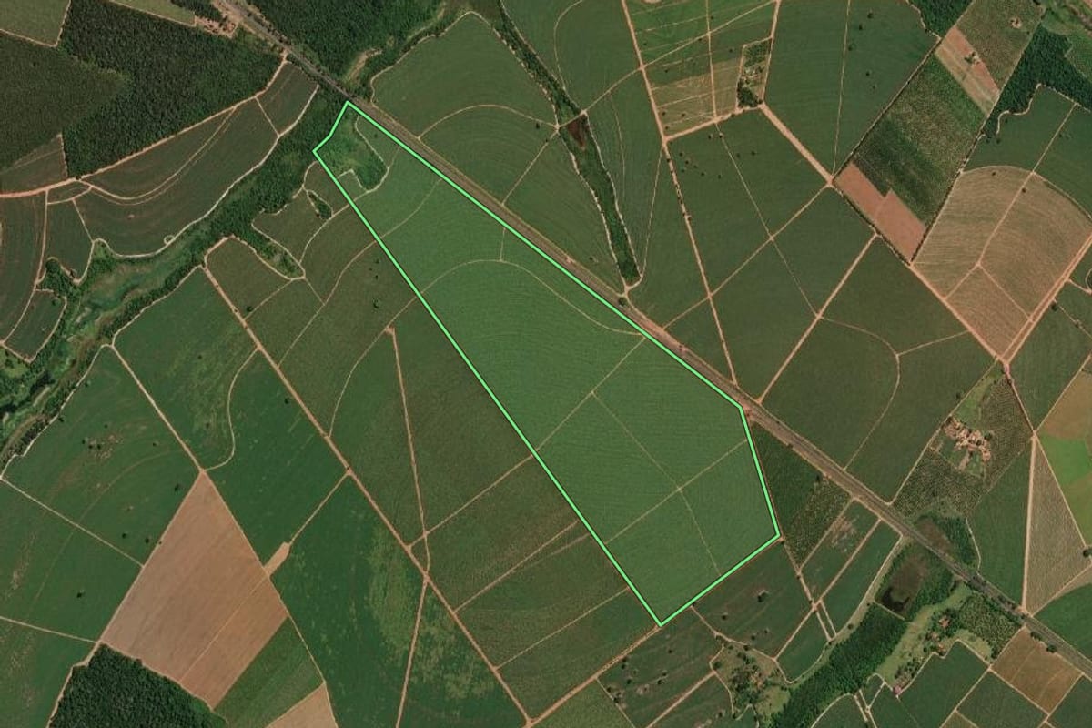 Imagem de satélite do imóvel rural em Sales (SP), com o contorno declarado no CAR desenhado por cima.