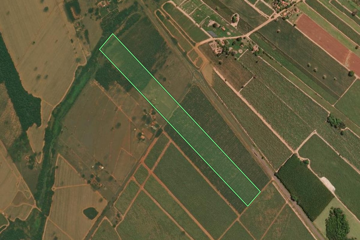 Imagem de satélite do imóvel rural em Sales (SP), com o contorno declarado no CAR desenhado por cima.