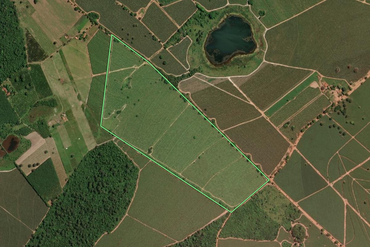Imagem de satélite do imóvel rural em Sales (SP), com o contorno declarado no CAR desenhado por cima.