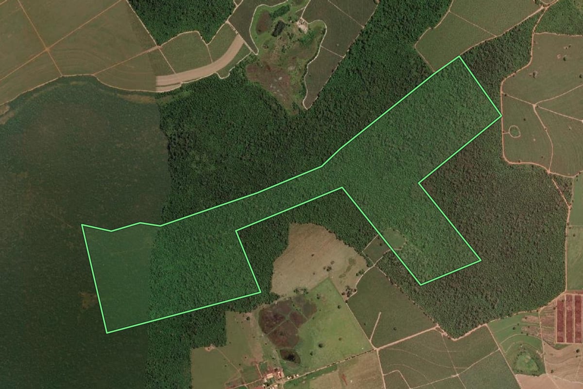Imagem de satélite do imóvel rural em Sales (SP), com o contorno declarado no CAR desenhado por cima.