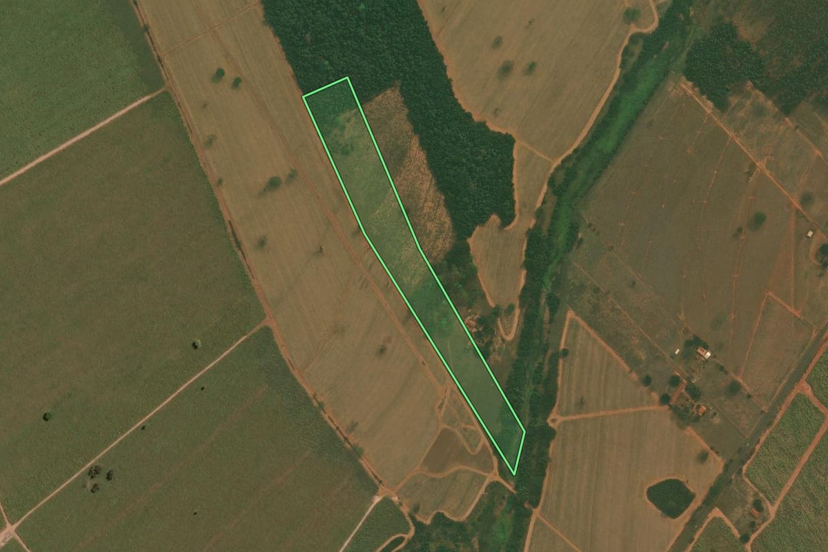 Imagem de satélite do imóvel rural em Sales (SP), com o contorno declarado no CAR desenhado por cima.