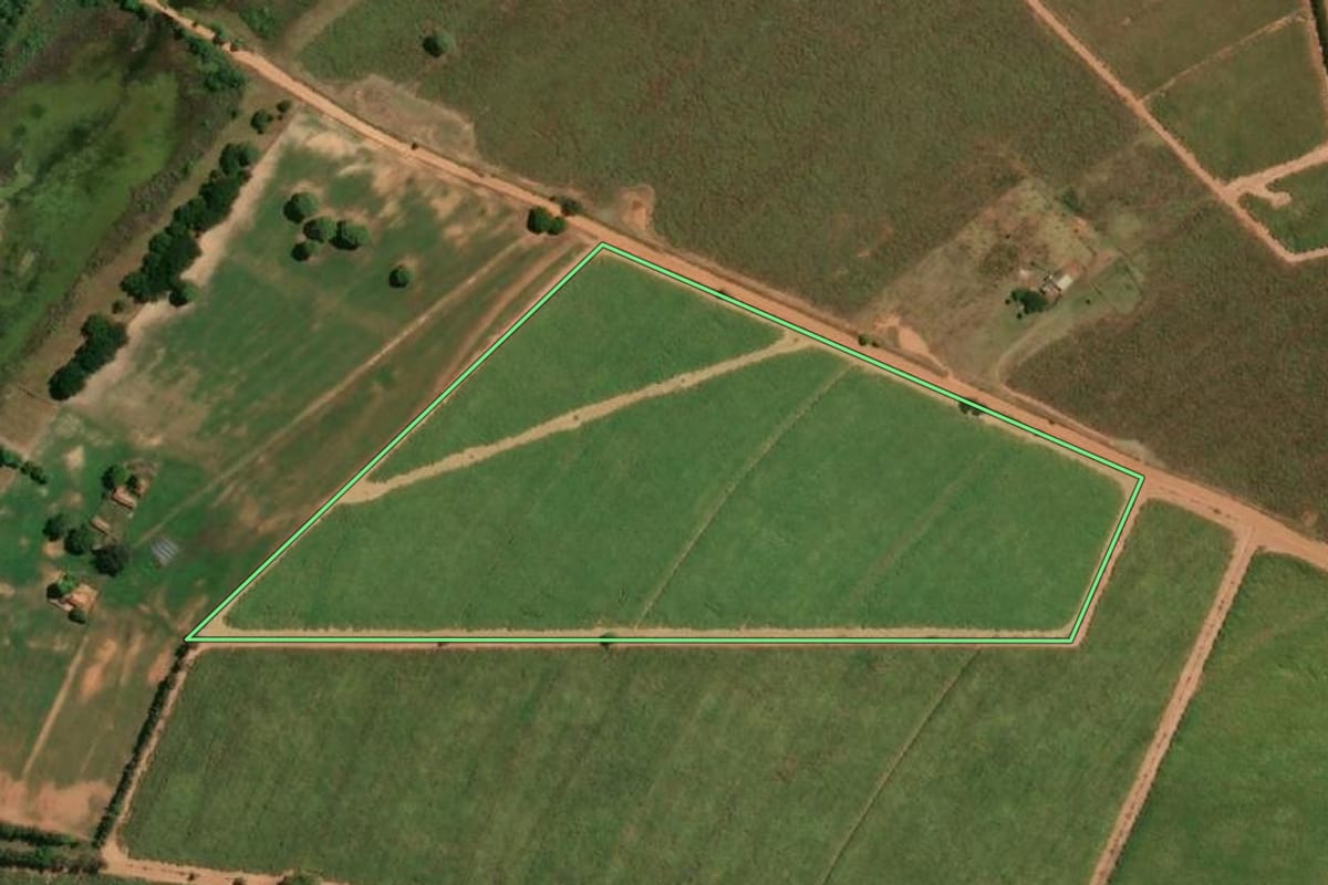 Imagem de satélite do imóvel rural em Sales (SP), com o contorno declarado no CAR desenhado por cima.