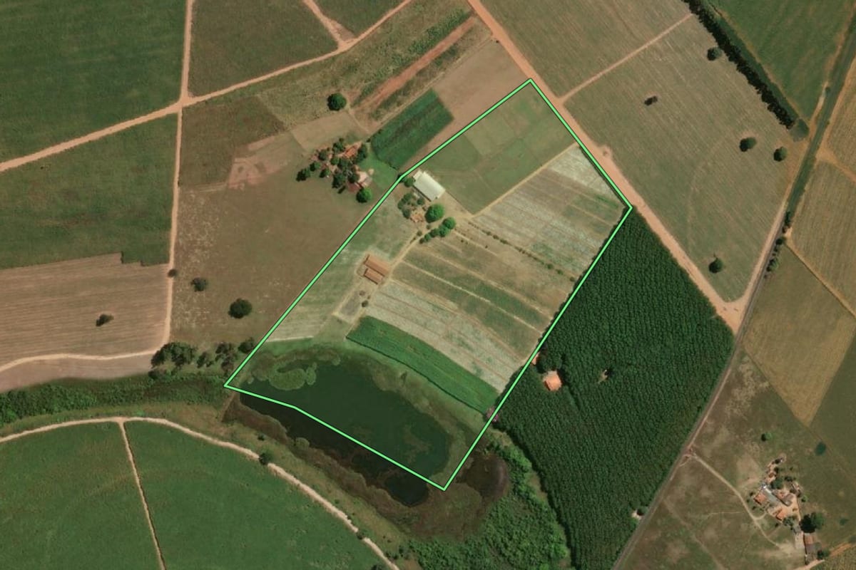 Imagem de satélite do imóvel rural em Sales (SP), com o contorno declarado no CAR desenhado por cima.