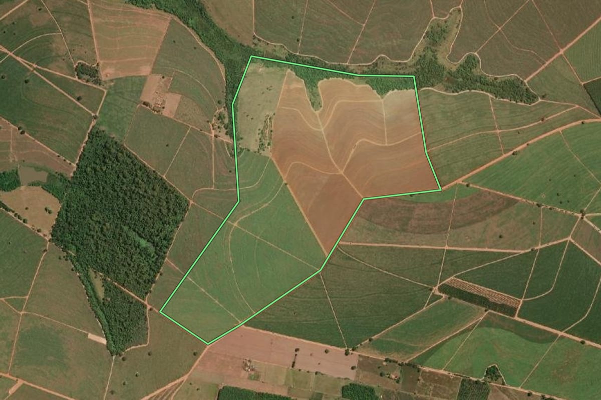 Imagem de satélite do imóvel rural em Sales (SP), com o contorno declarado no CAR desenhado por cima.
