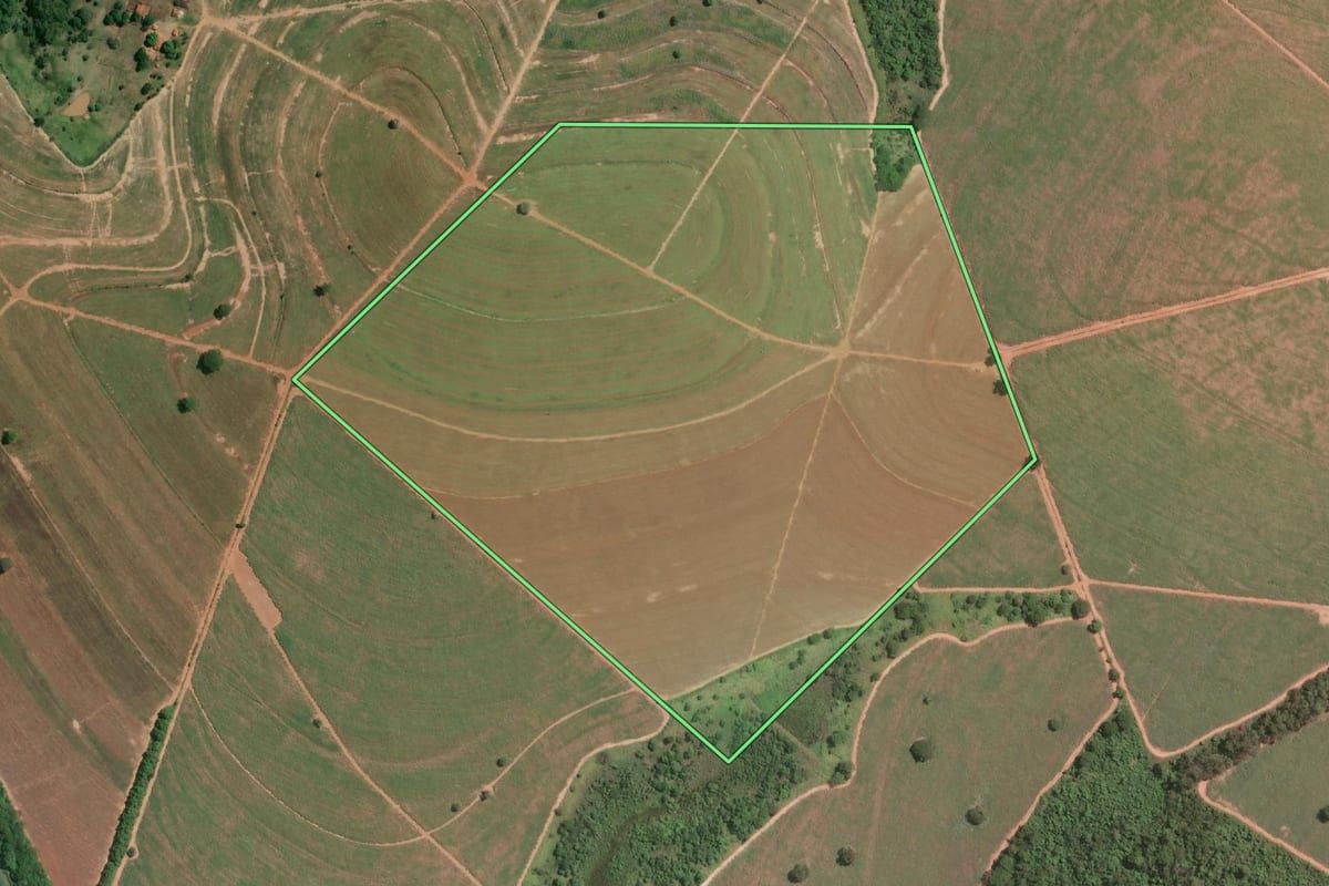 Imagem de satélite do imóvel rural em Sales (SP), com o contorno declarado no CAR desenhado por cima.