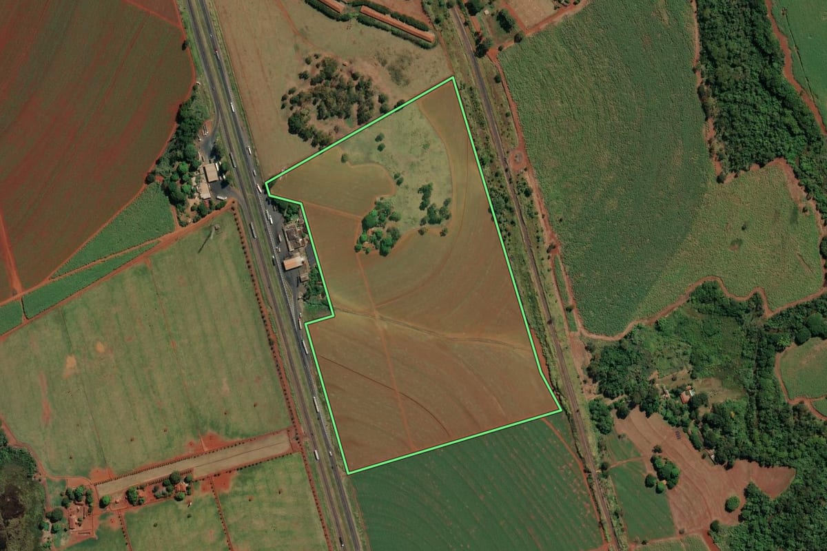 Imagem de satélite do imóvel rural em Sales Oliveira (SP), com o contorno declarado no CAR desenhado por cima.