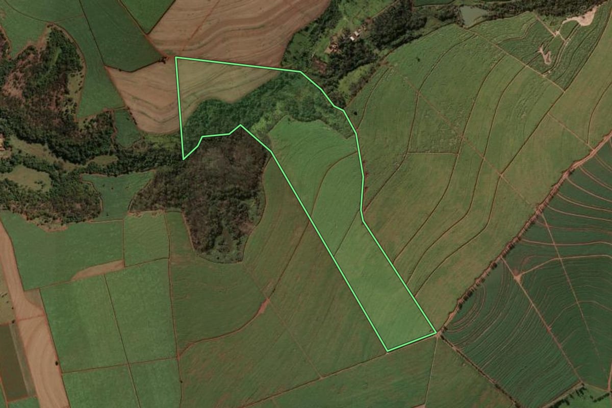 Imagem de satélite do imóvel rural em Sales Oliveira (SP), com o contorno declarado no CAR desenhado por cima.