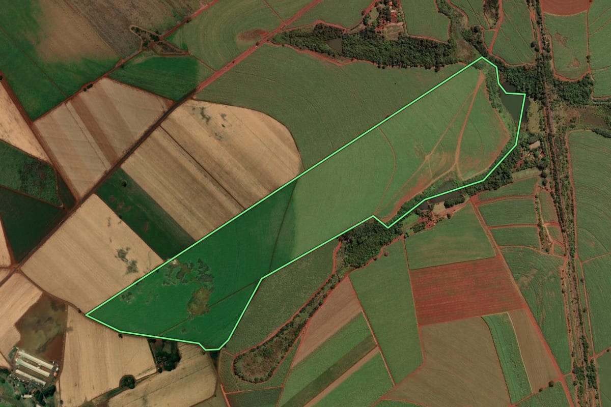 Imagem de satélite do imóvel rural em Sales Oliveira (SP), com o contorno declarado no CAR desenhado por cima.