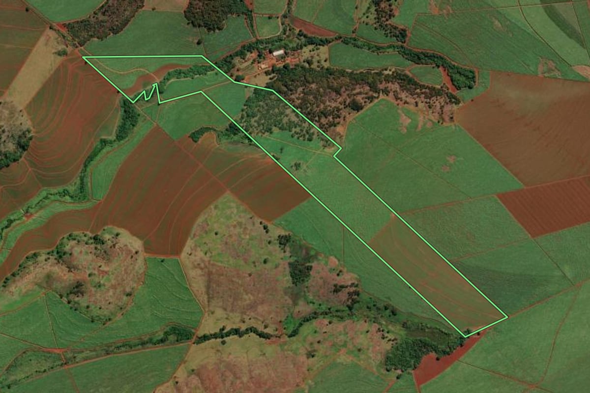 Imagem de satélite do imóvel rural em Sales Oliveira (SP), com o contorno declarado no CAR desenhado por cima.