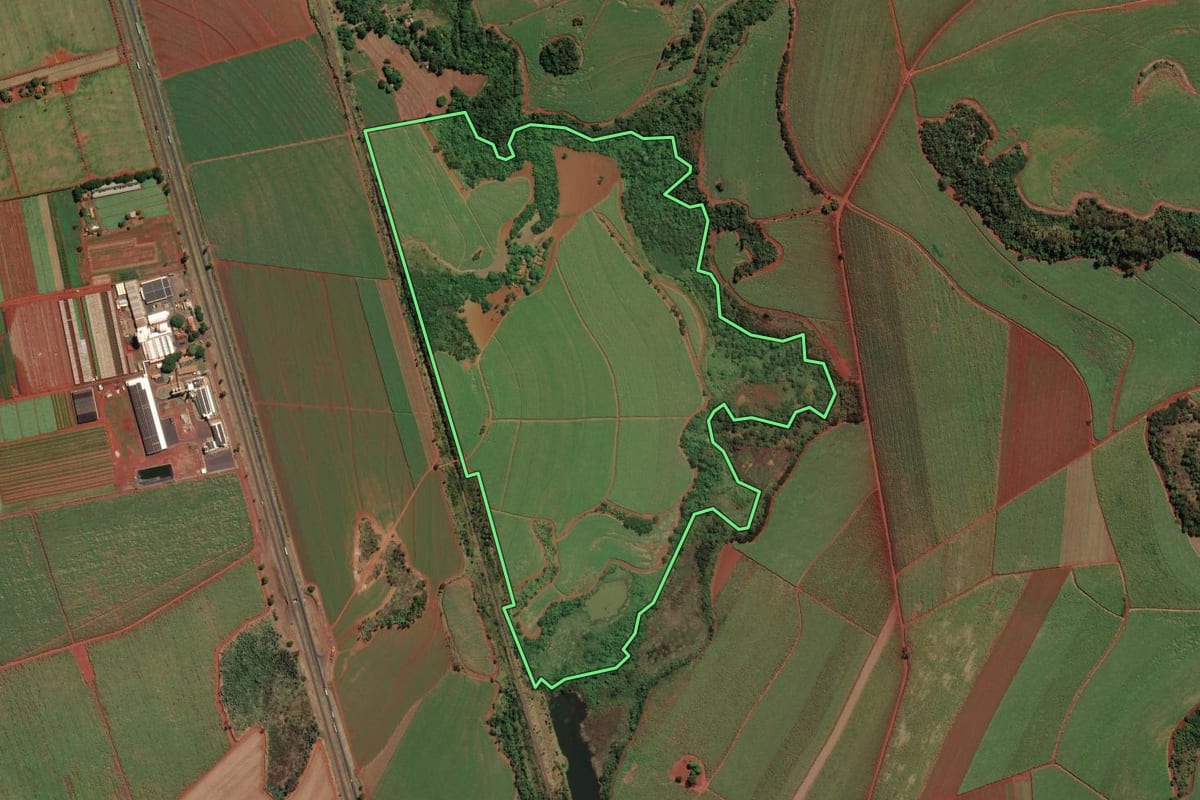 Imagem de satélite do imóvel rural em Sales Oliveira (SP), com o contorno declarado no CAR desenhado por cima.