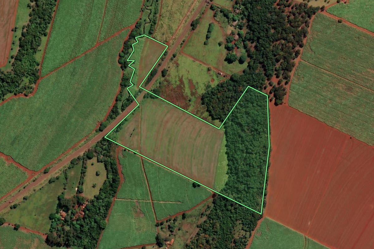 Imagem de satélite do imóvel rural em Sales Oliveira (SP), com o contorno declarado no CAR desenhado por cima.