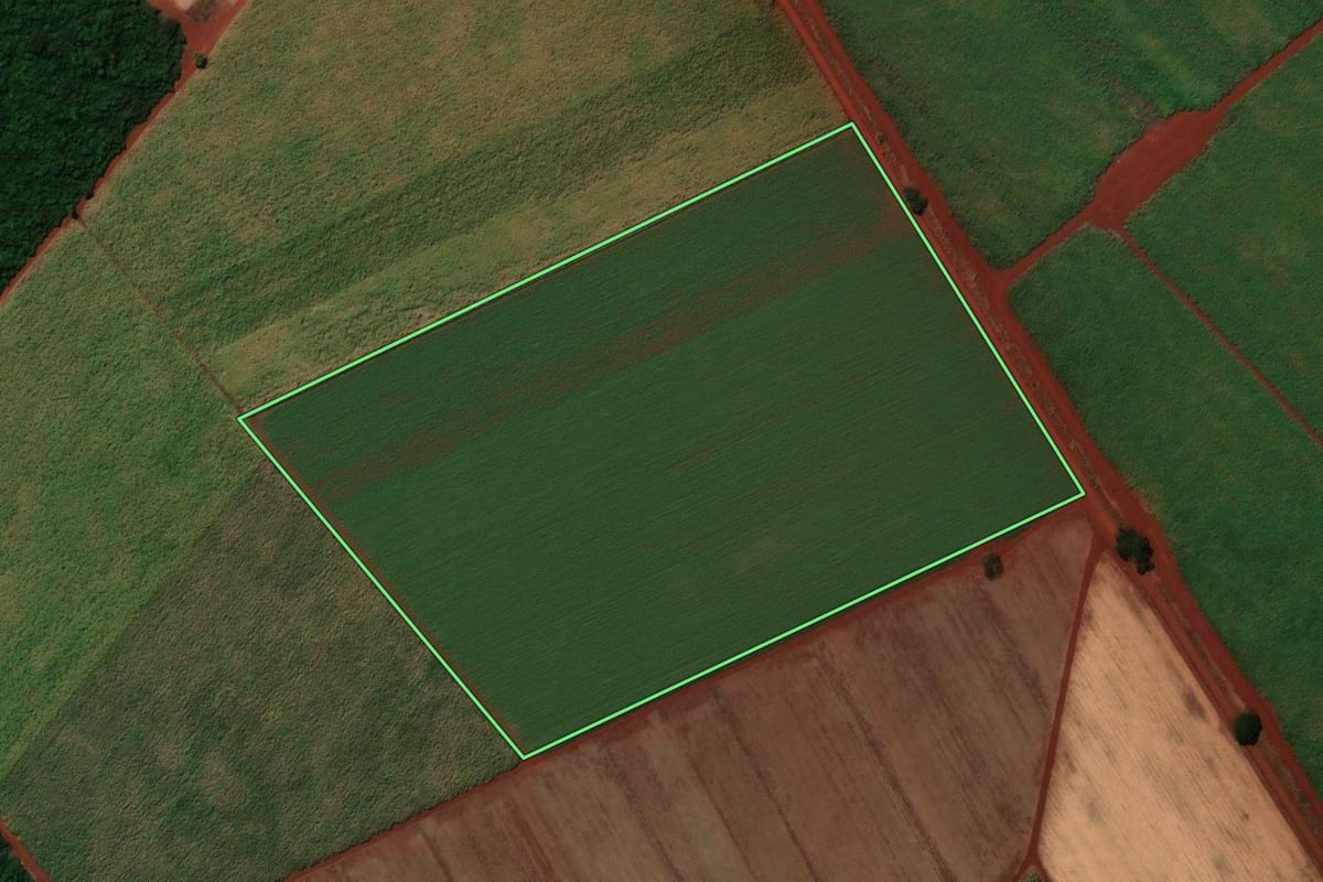 Imagem de satélite do imóvel rural em Sales Oliveira (SP), com o contorno declarado no CAR desenhado por cima.