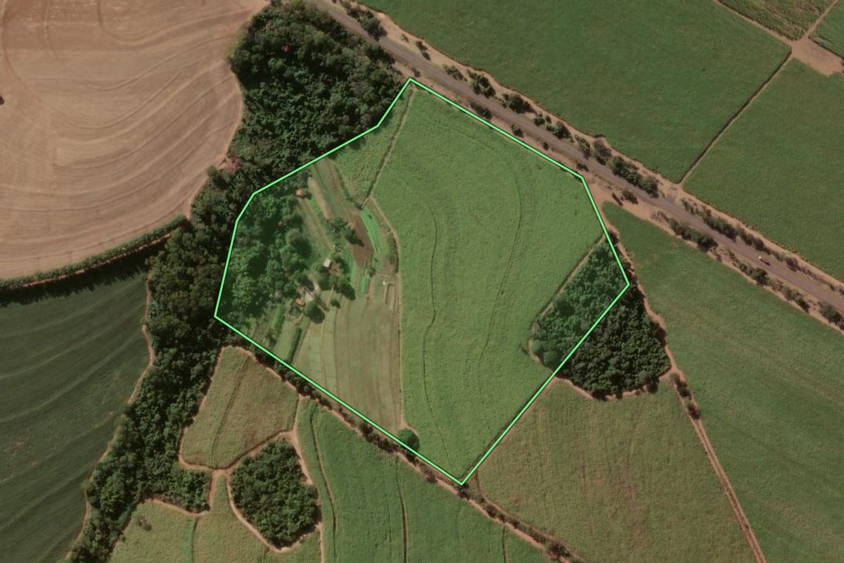 Imagem de satélite do imóvel rural em Sales Oliveira (SP), com o contorno declarado no CAR desenhado por cima.