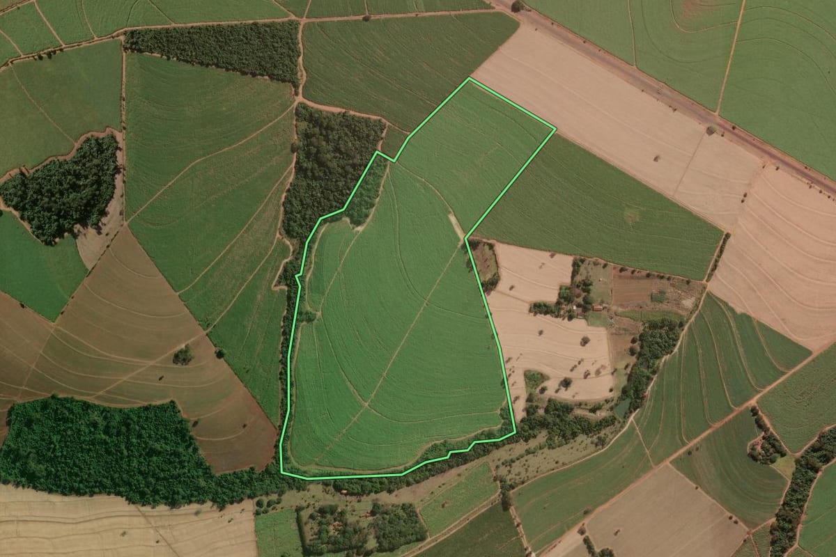 Imagem de satélite do imóvel rural em Sales Oliveira (SP), com o contorno declarado no CAR desenhado por cima.
