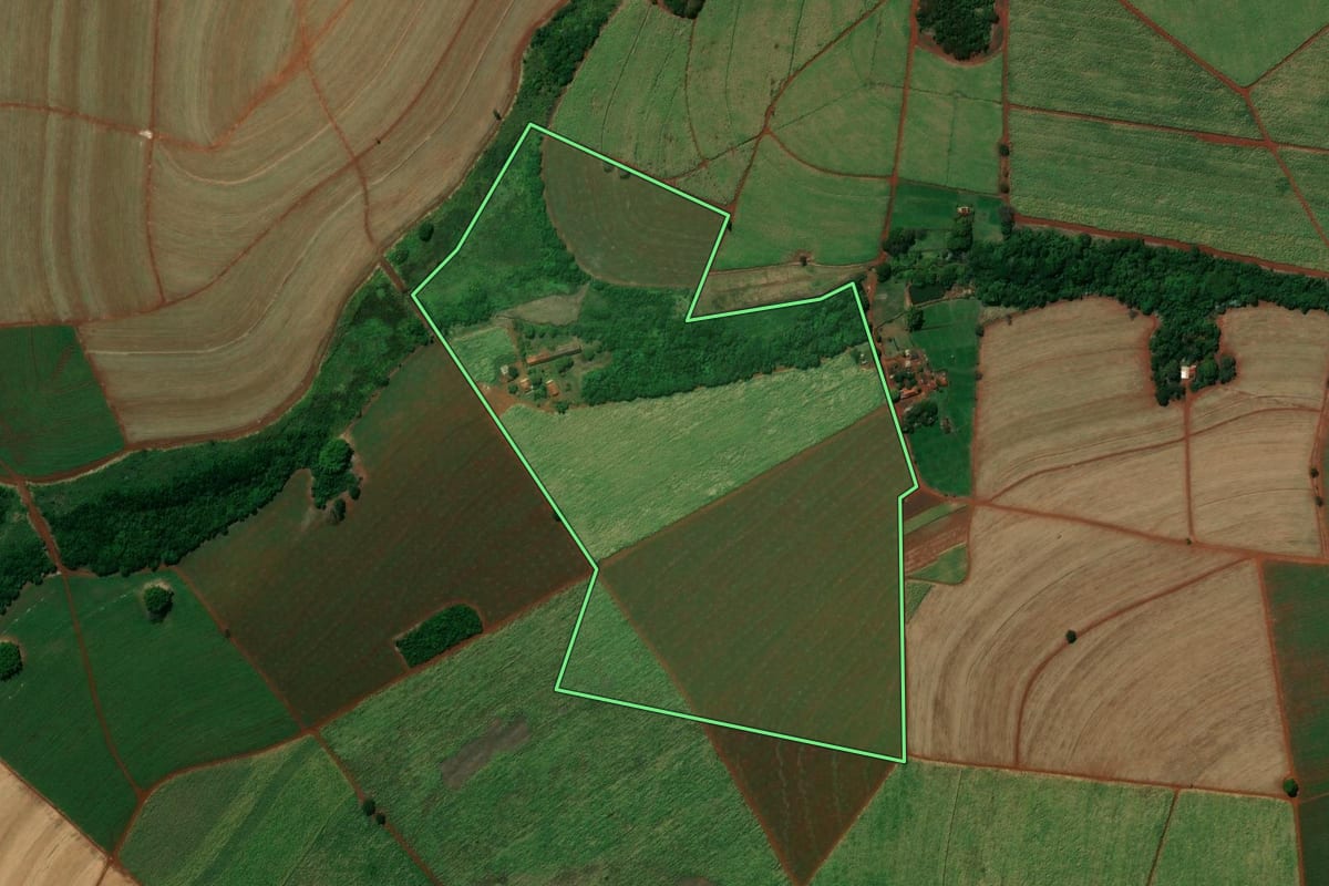 Imagem de satélite do imóvel rural em Sales Oliveira (SP), com o contorno declarado no CAR desenhado por cima.