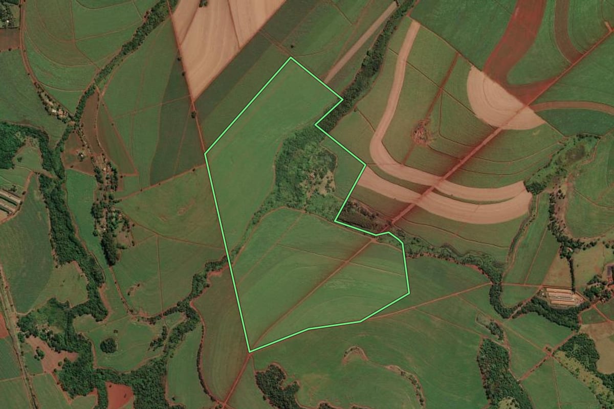 Imagem de satélite do imóvel rural em Sales Oliveira (SP), com o contorno declarado no CAR desenhado por cima.