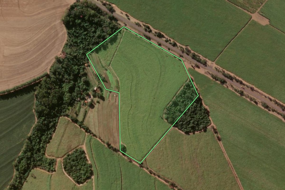 Imagem de satélite do imóvel rural em Sales Oliveira (SP), com o contorno declarado no CAR desenhado por cima.