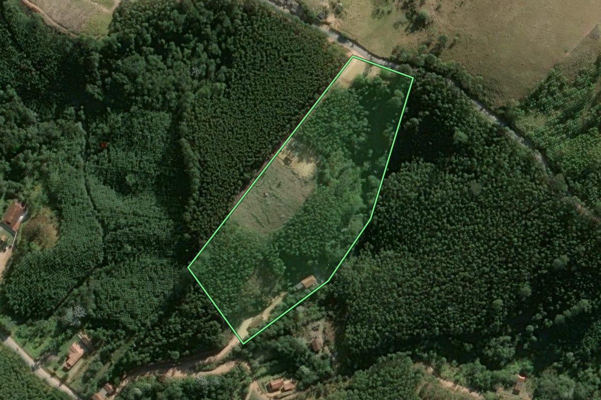 Imagem de satélite do imóvel rural em Salesópolis (SP), com o contorno declarado no CAR desenhado por cima.
