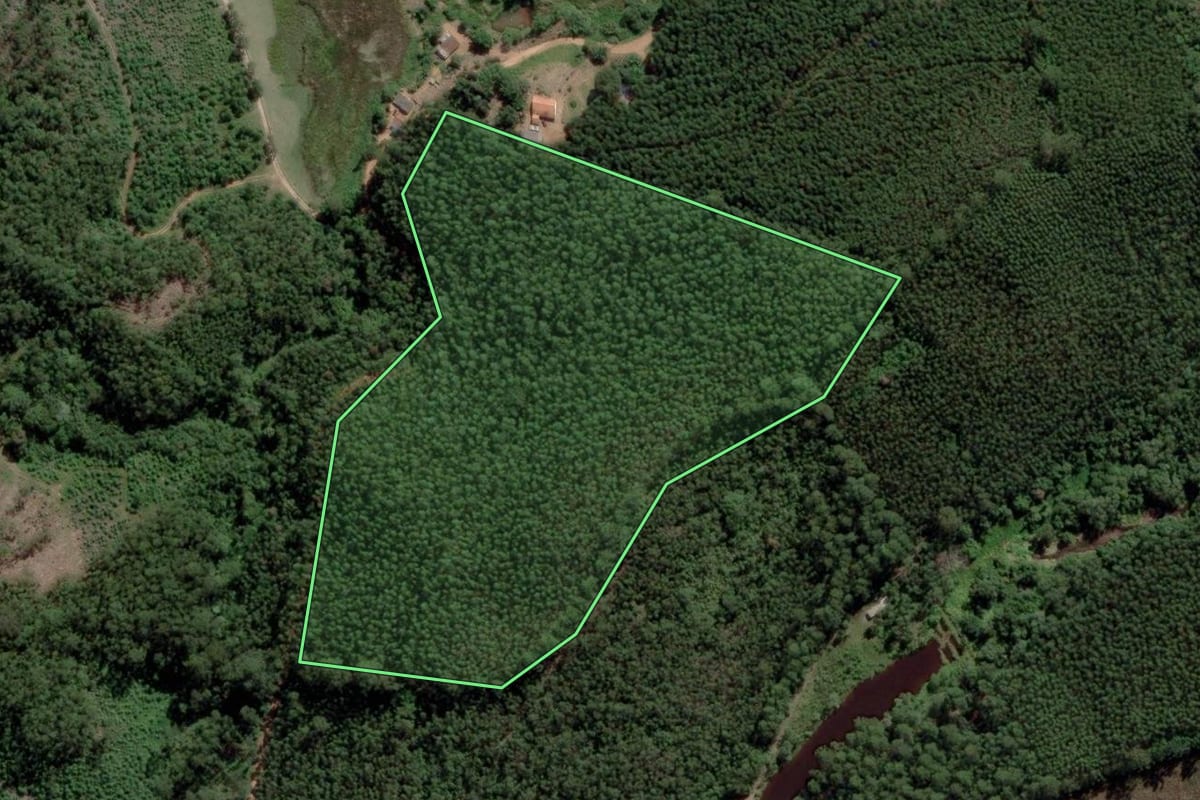 Imagem de satélite do imóvel rural em Salesópolis (SP), com o contorno declarado no CAR desenhado por cima.