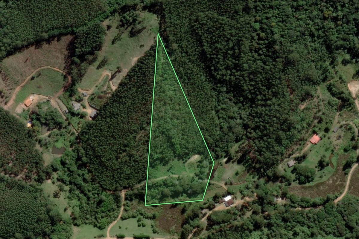 Imagem de satélite do imóvel rural em Salesópolis (SP), com o contorno declarado no CAR desenhado por cima.