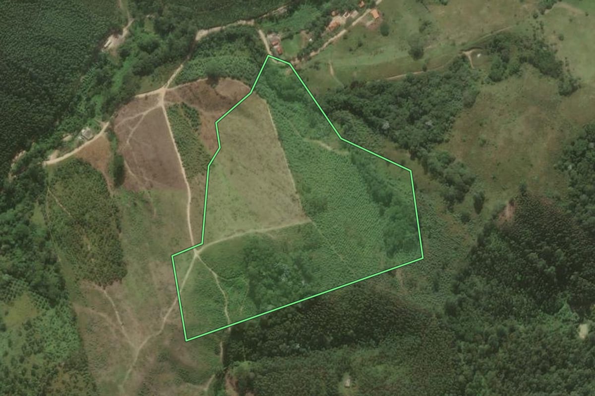 Imagem de satélite do imóvel rural em Salesópolis (SP), com o contorno declarado no CAR desenhado por cima.