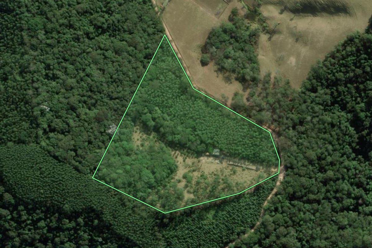 Imagem de satélite do imóvel rural em Salesópolis (SP), com o contorno declarado no CAR desenhado por cima.