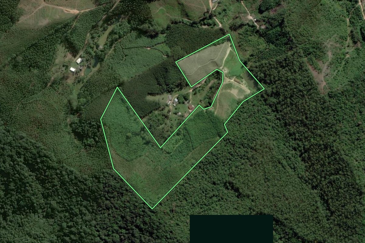 Imagem de satélite do imóvel rural em Salesópolis (SP), com o contorno declarado no CAR desenhado por cima.