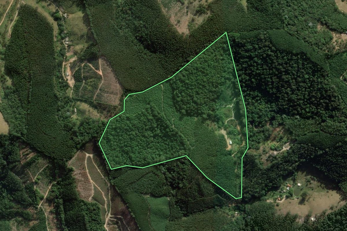 Imagem de satélite do imóvel rural em Salesópolis (SP), com o contorno declarado no CAR desenhado por cima.