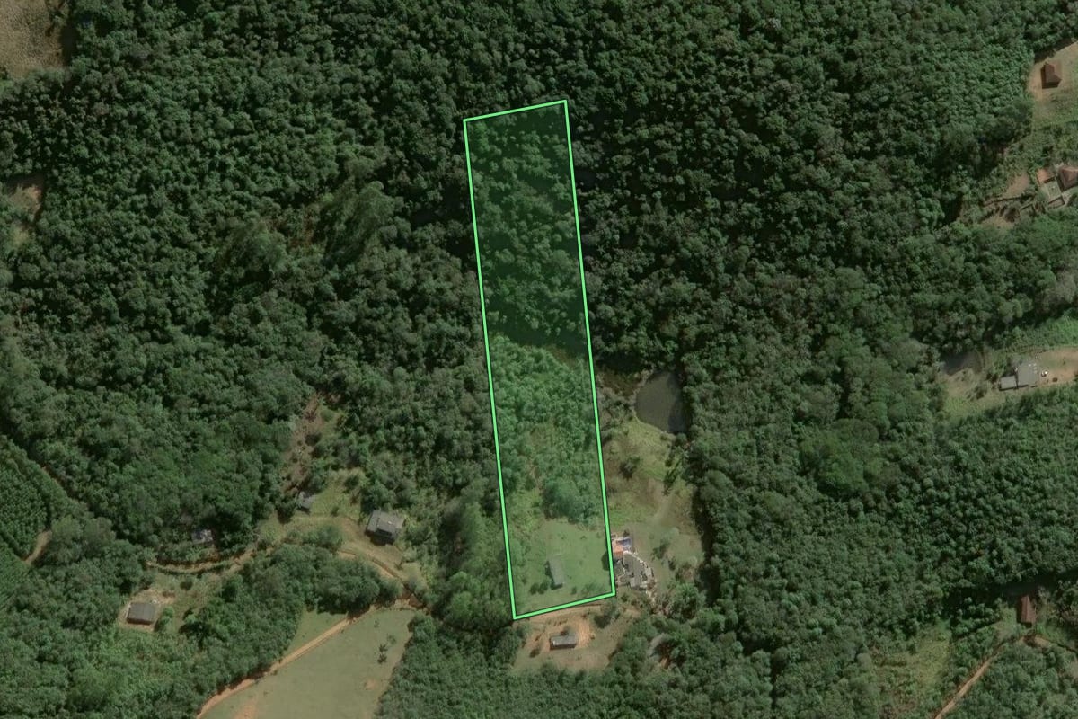 Imagem de satélite do imóvel rural em Salesópolis (SP), com o contorno declarado no CAR desenhado por cima.