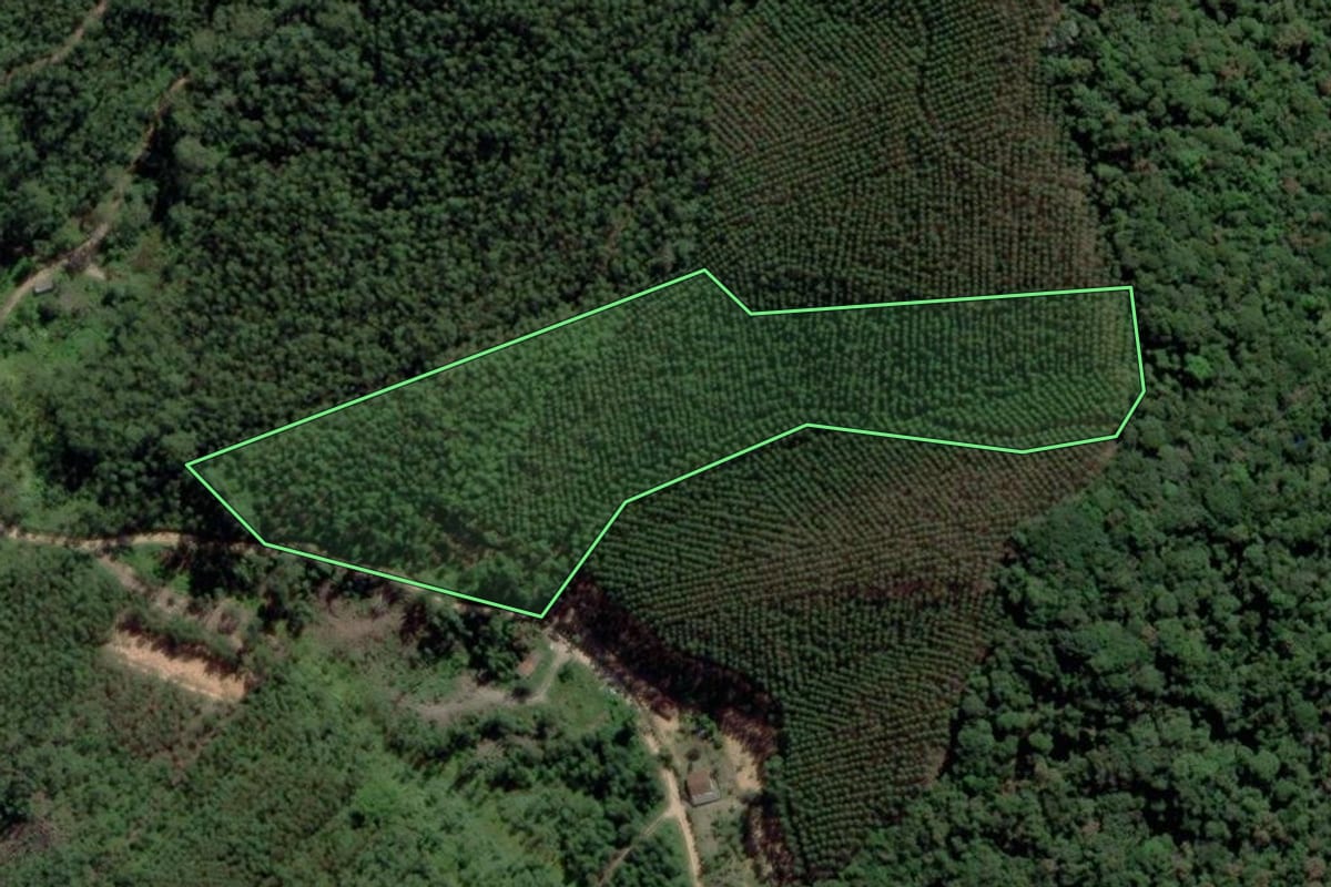 Imagem de satélite do imóvel rural em Salesópolis (SP), com o contorno declarado no CAR desenhado por cima.