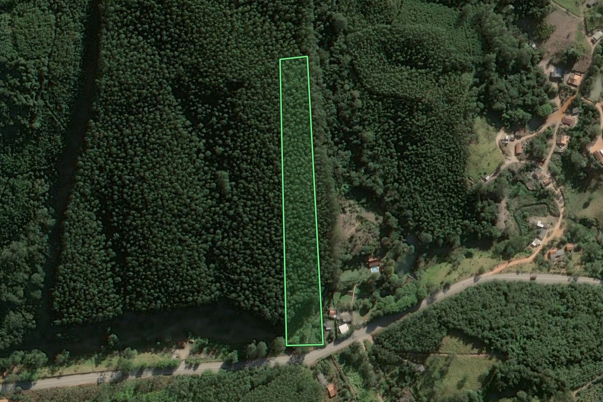 Imagem de satélite do imóvel rural em Salesópolis (SP), com o contorno declarado no CAR desenhado por cima.