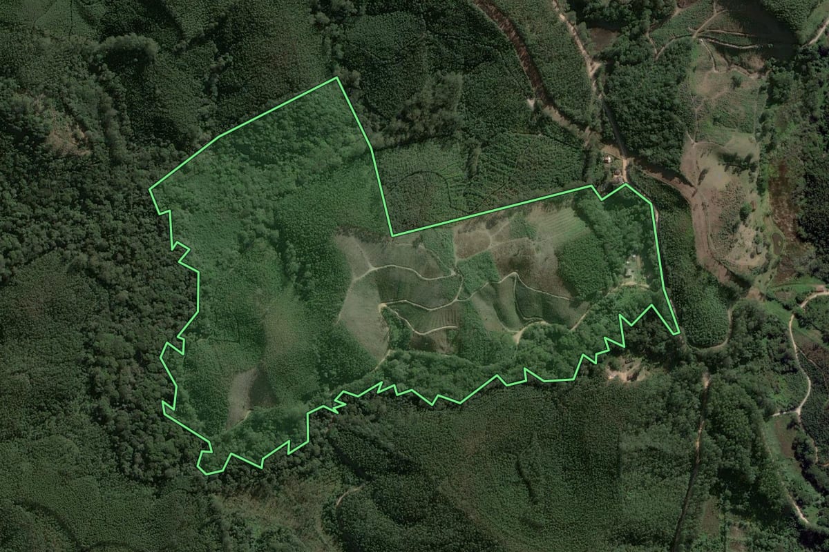 Imagem de satélite do imóvel rural em Salesópolis (SP), com o contorno declarado no CAR desenhado por cima.