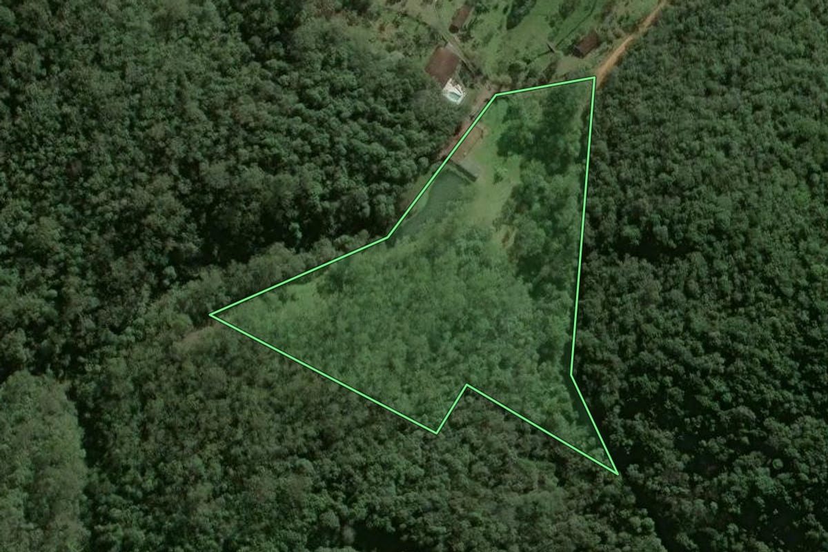 Imagem de satélite do imóvel rural em Salesópolis (SP), com o contorno declarado no CAR desenhado por cima.