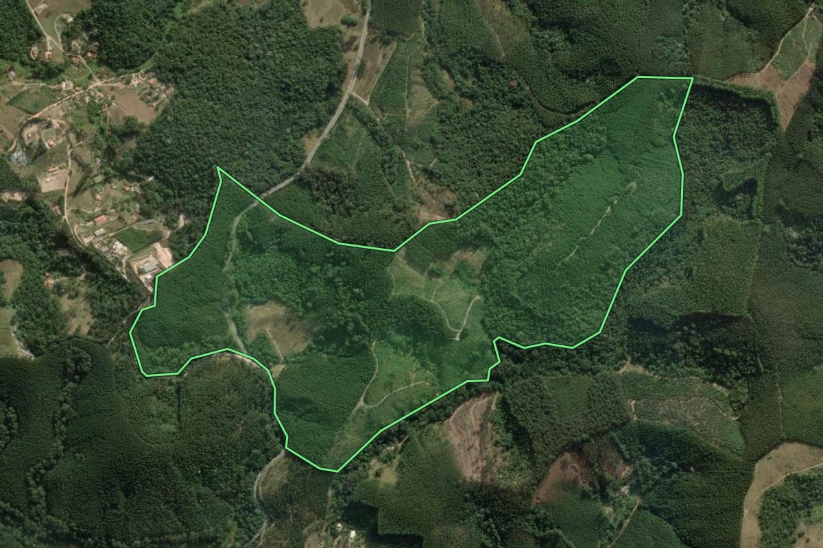 Imagem de satélite do imóvel rural em Salesópolis (SP), com o contorno declarado no CAR desenhado por cima.