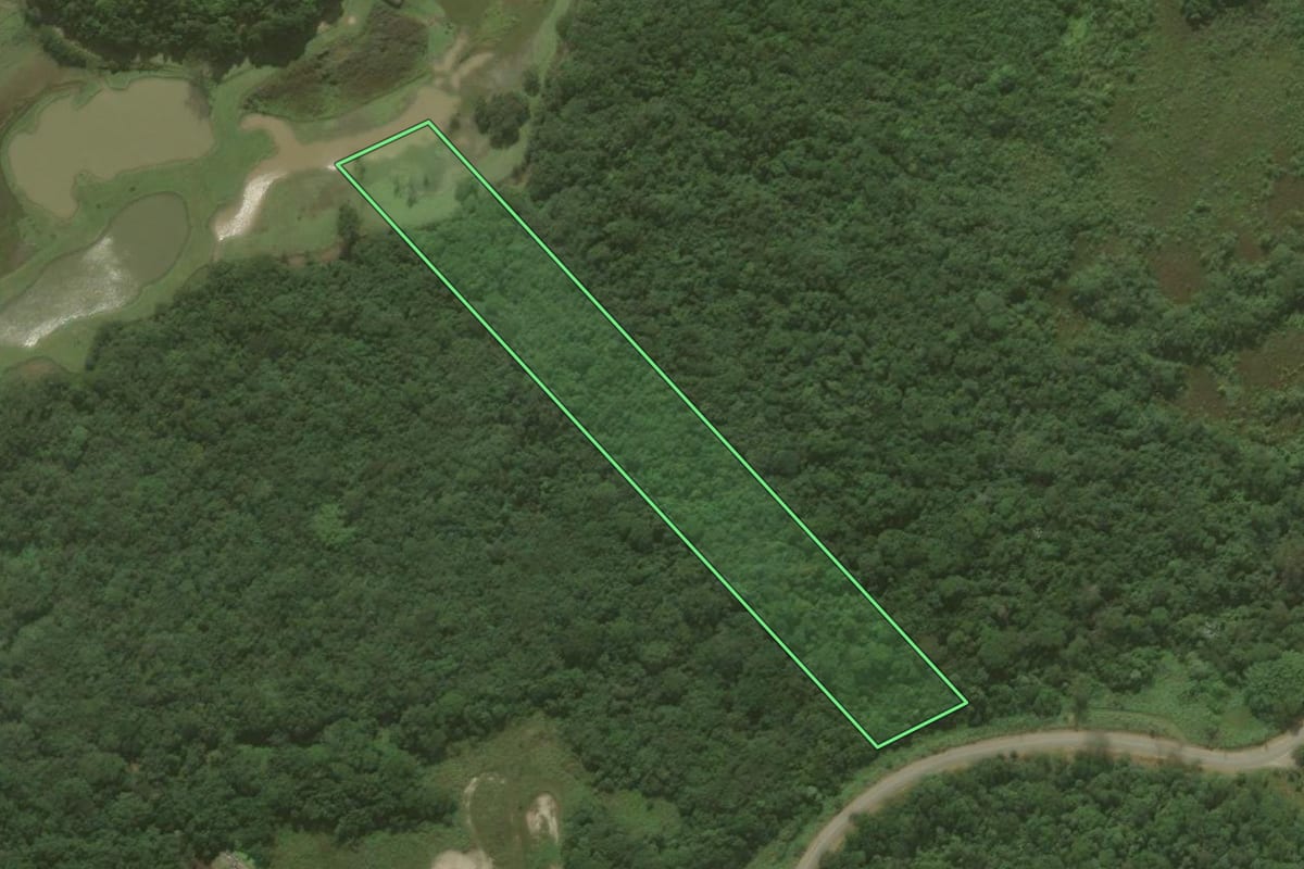 Imagem de satélite do imóvel rural em Salesópolis (SP), com o contorno declarado no CAR desenhado por cima.