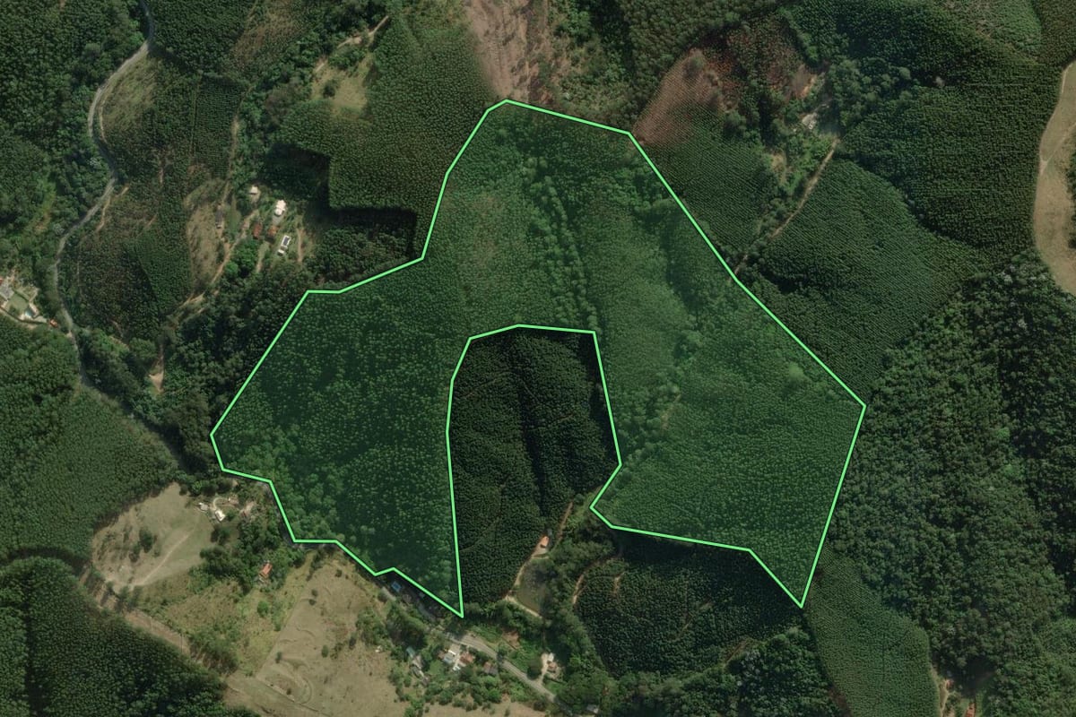 Imagem de satélite do imóvel rural em Salesópolis (SP), com o contorno declarado no CAR desenhado por cima.